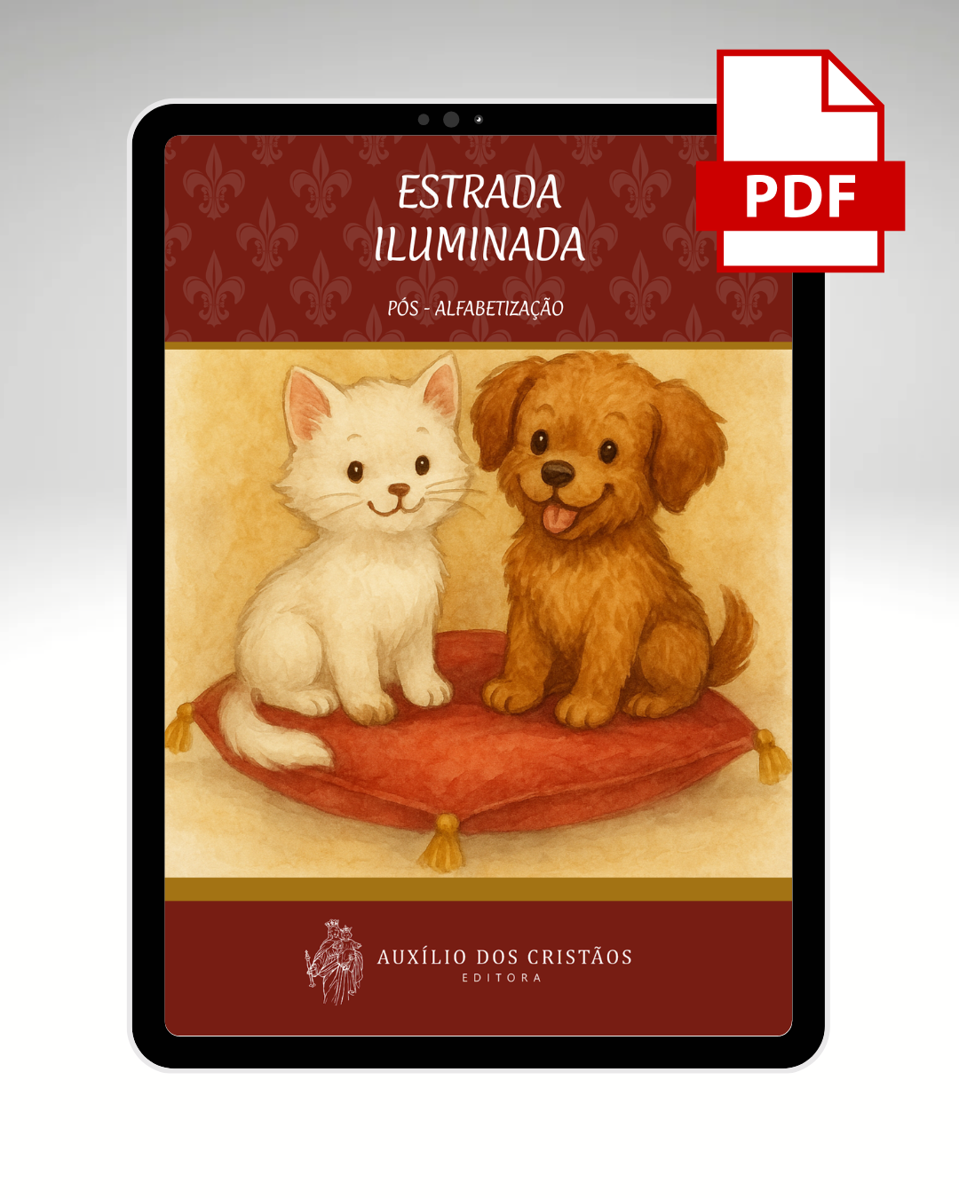 Estrada Iluminada - Bichano e Zumbi